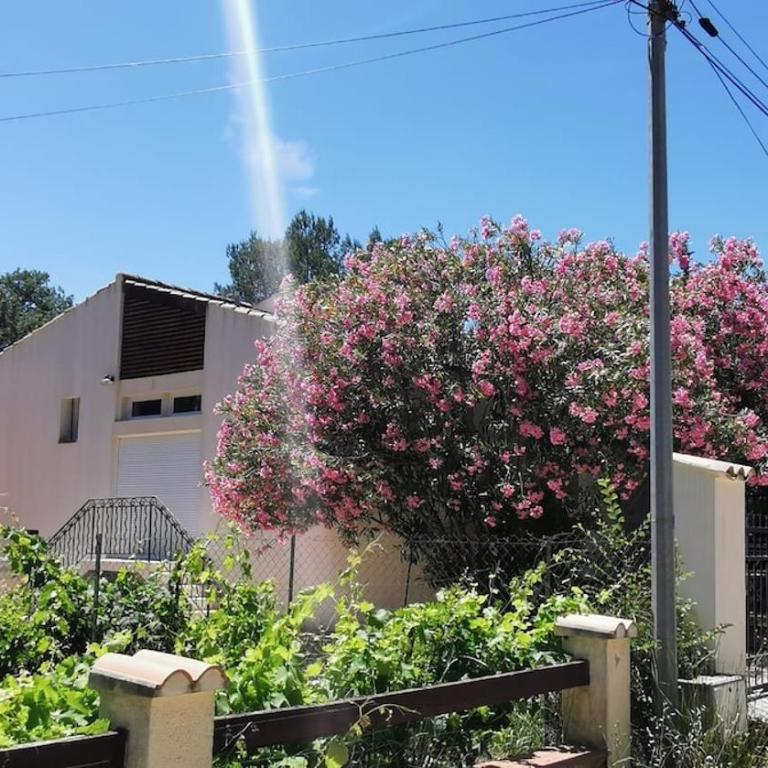4-Star Air-Conditioned Villa with Heated Pool - Villa avec Piscine Privée - 20