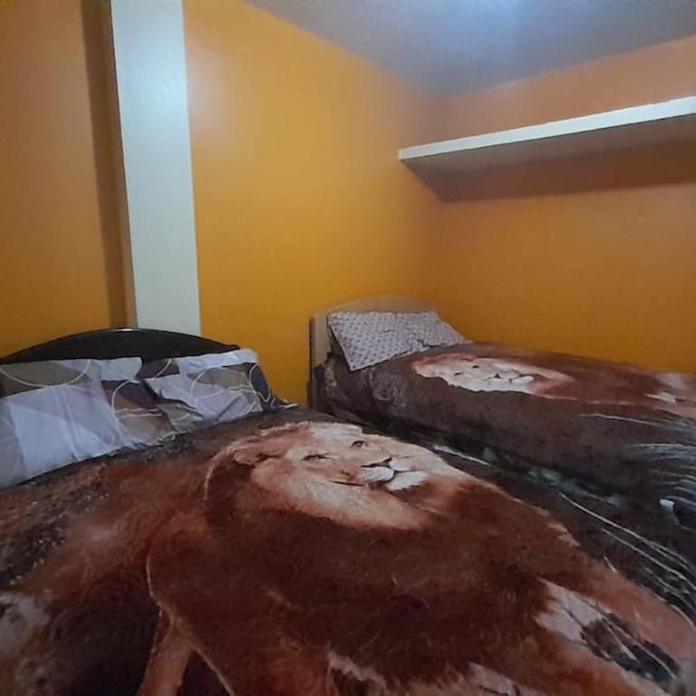 Kenatural - Apartamento de 3 dormitorios - 8