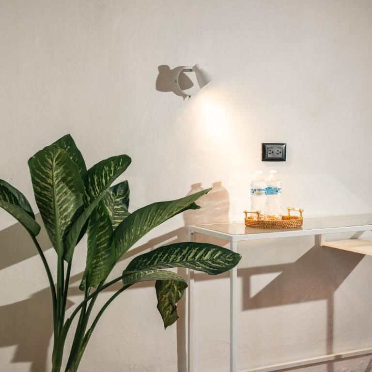 Casa Serdán - Apartamento de 1 dormitorio - 15