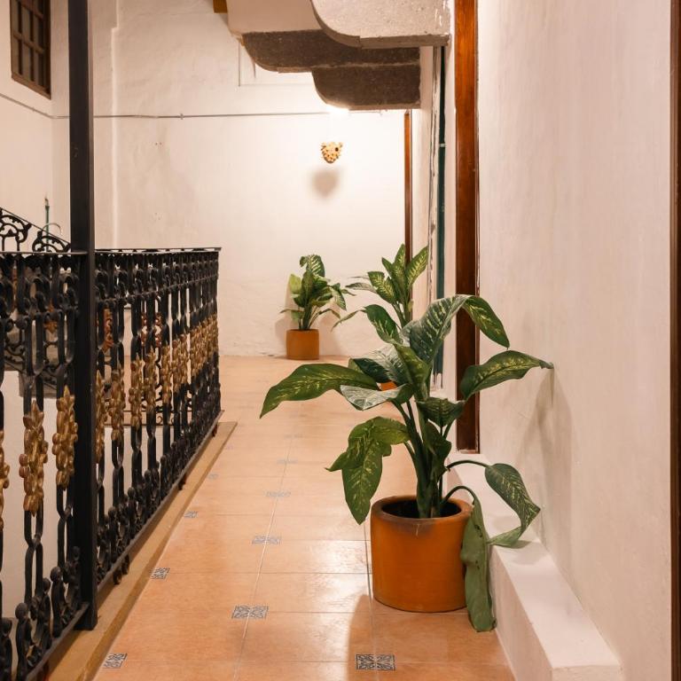 Casa Serdán - Apartamento de 1 dormitorio - 20
