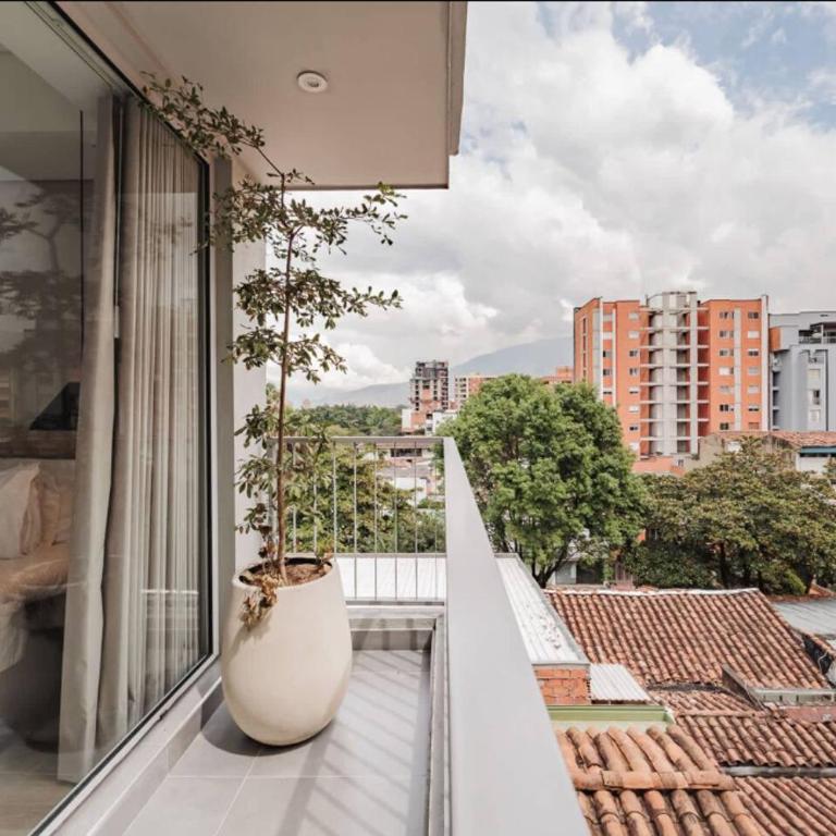Exclusive - Studio - Apartment - Apartamento de 1 dormitorio - 5