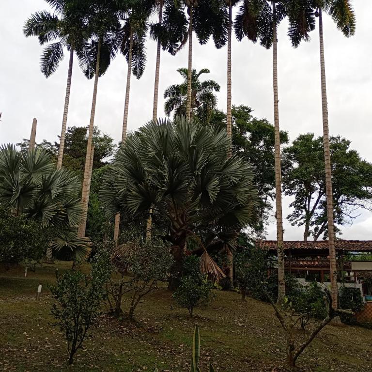 Cabañas en el Bosque - Three-Bedroom House - 14