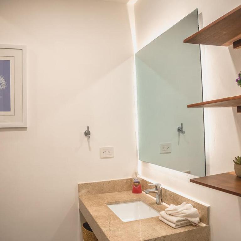 Luxury Penthouse 3BR with Private Pool & Rooftop La Veleta - Apartamento de 3 dormitorios con piscina privada - 50