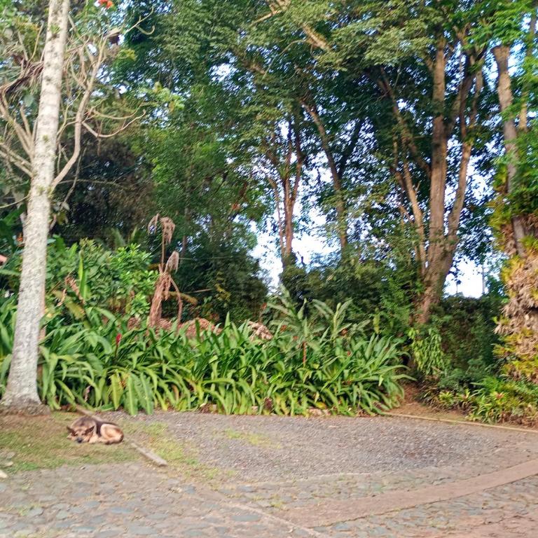 Cabañas en el Bosque - Three-Bedroom House - 28