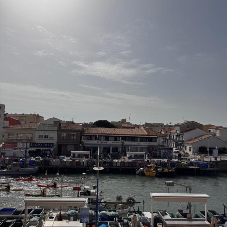 T2 Rénové Climatisé - Plage à Pied - 4 pers - Centre Palavas - Quai Paul Cunq - LaConciergerieByNina - Appartement 1 Chambre - 17