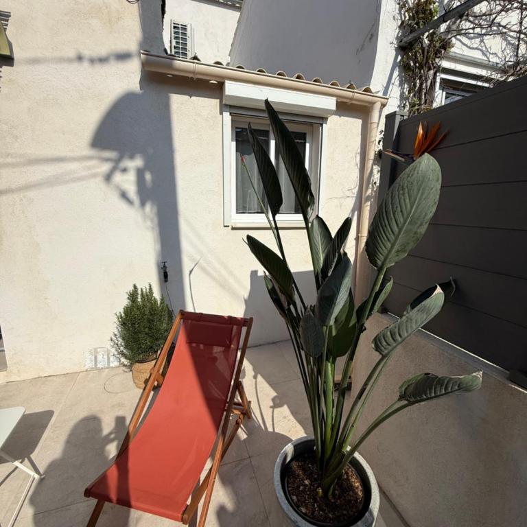 Cabanon des calanques aux Goudes - Maison 1 Chambre - 12