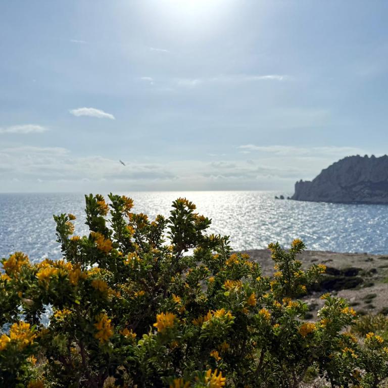 Cabanon des calanques aux Goudes - Maison 1 Chambre - 28