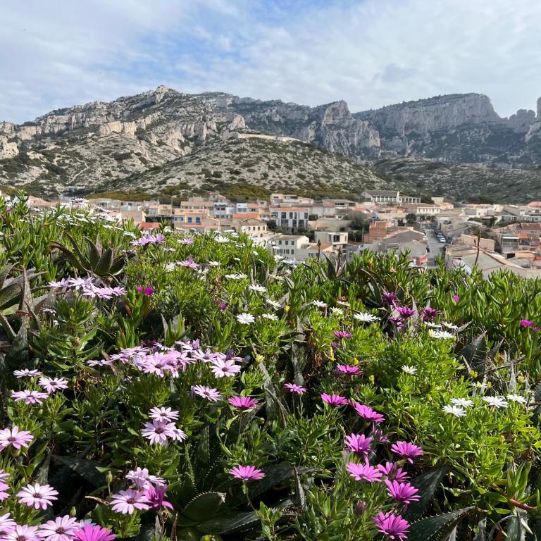 Cabanon des calanques aux Goudes - Maison 1 Chambre - 21