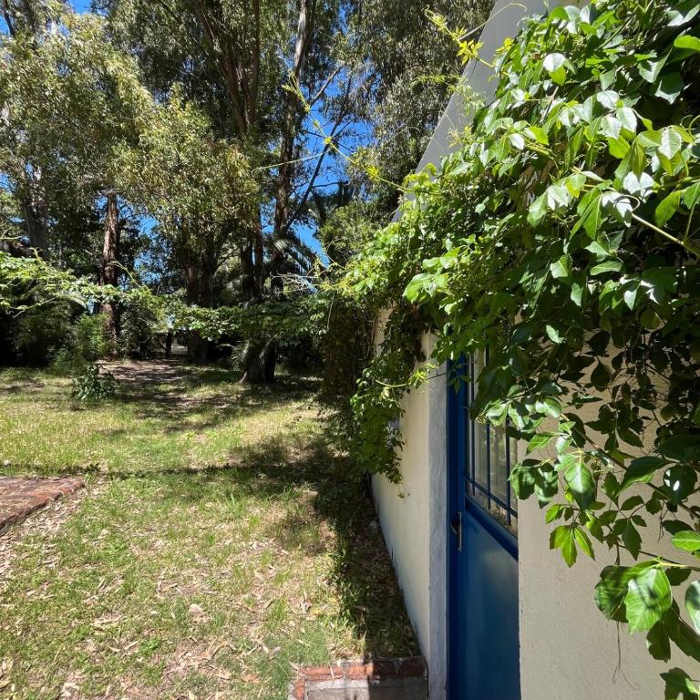 Espacio tranquilo entre naturaleza y playa cercana - One-Bedroom Apartment - 17