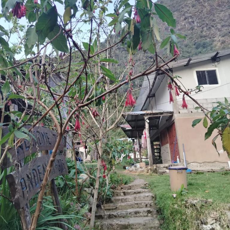 Hay & Mountain Huts - Twin Room with Shared Bathroom - 3
