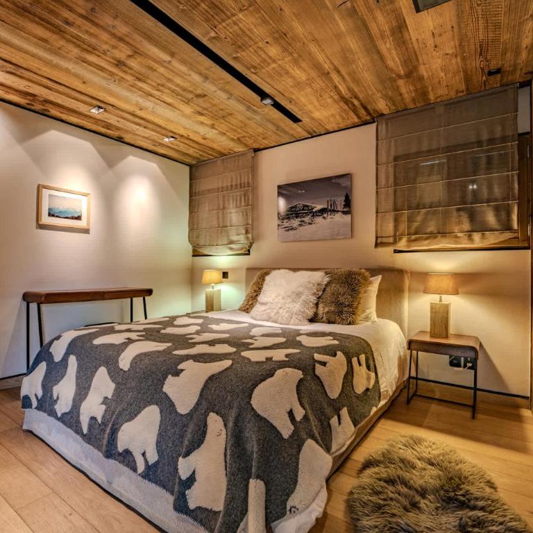 Cozy and Modern Apt in Prime Location Megeve - Appartement - 8