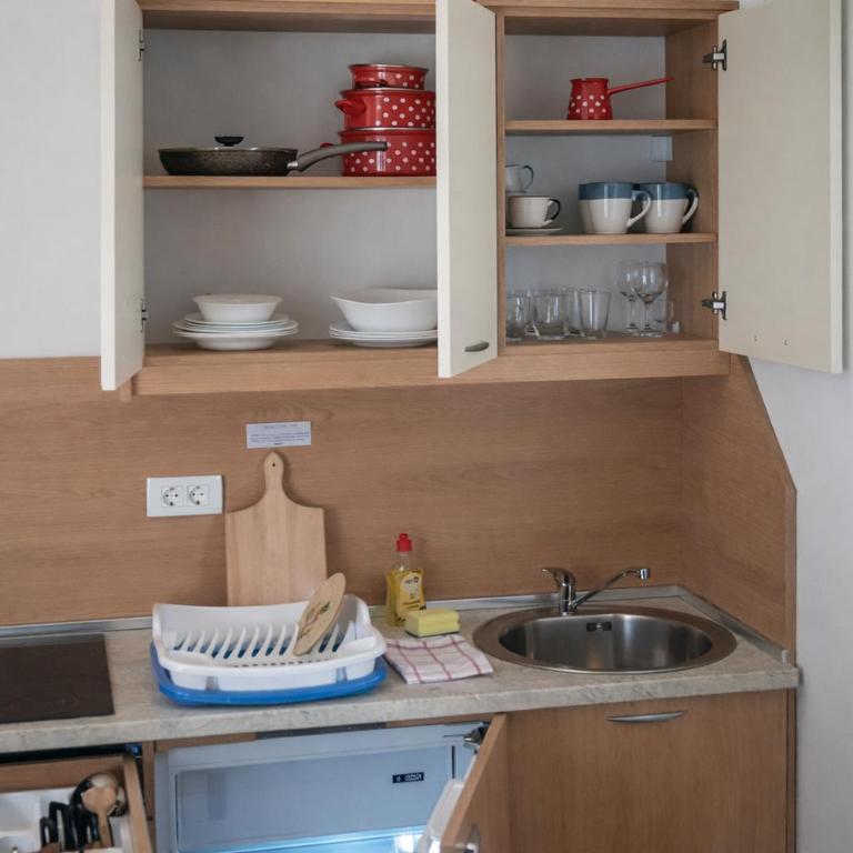Wendy - One-Bedroom Apartment with Terrace - 11