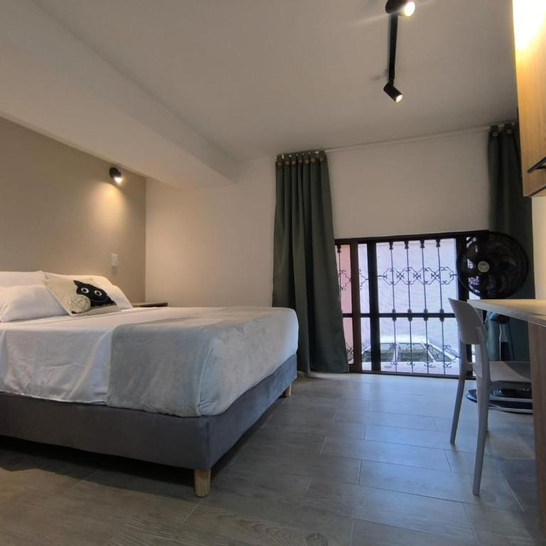 El Gato del Boulevard - Habitación Doble Estándar con ventilador - 8