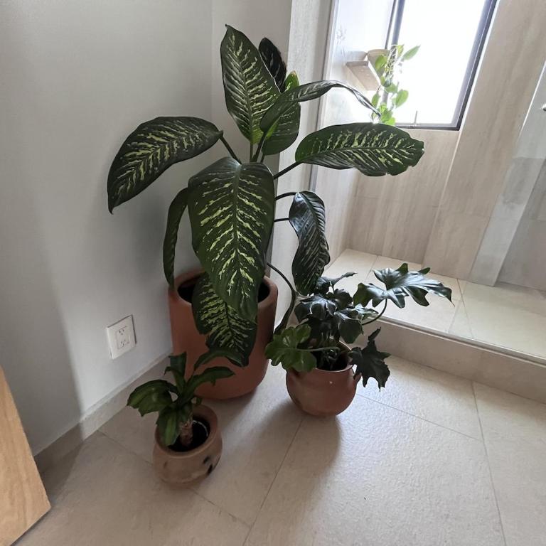 New luxury, stylish and confortable in Condesa - Apartamento de 2 dormitorios - 25