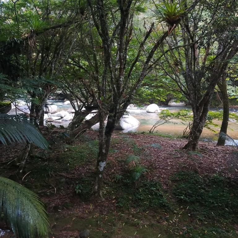 Apartamentos Del Rio - Two-Bedroom Apartment - 19