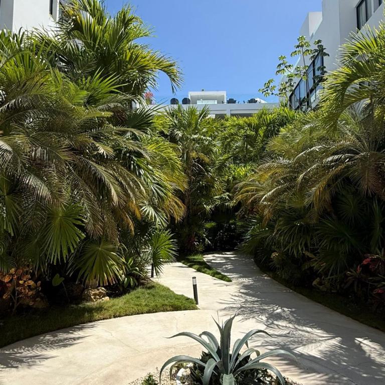 BRISA MAYA Luxury Apartment - Apartamento de 2 dormitorios - 4