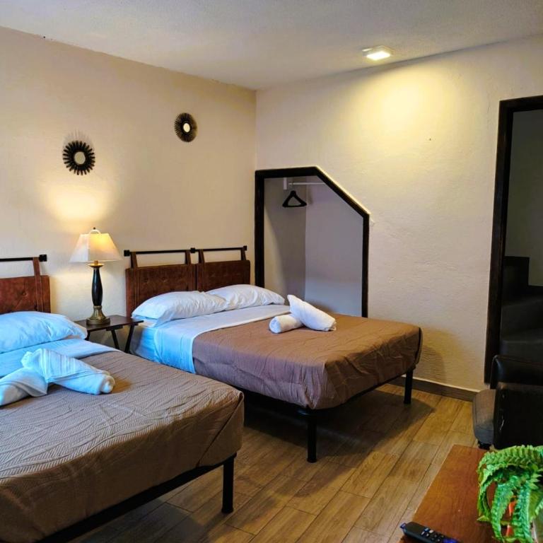 Balcones de Galarza 24 - Double Room with Terrace - 4