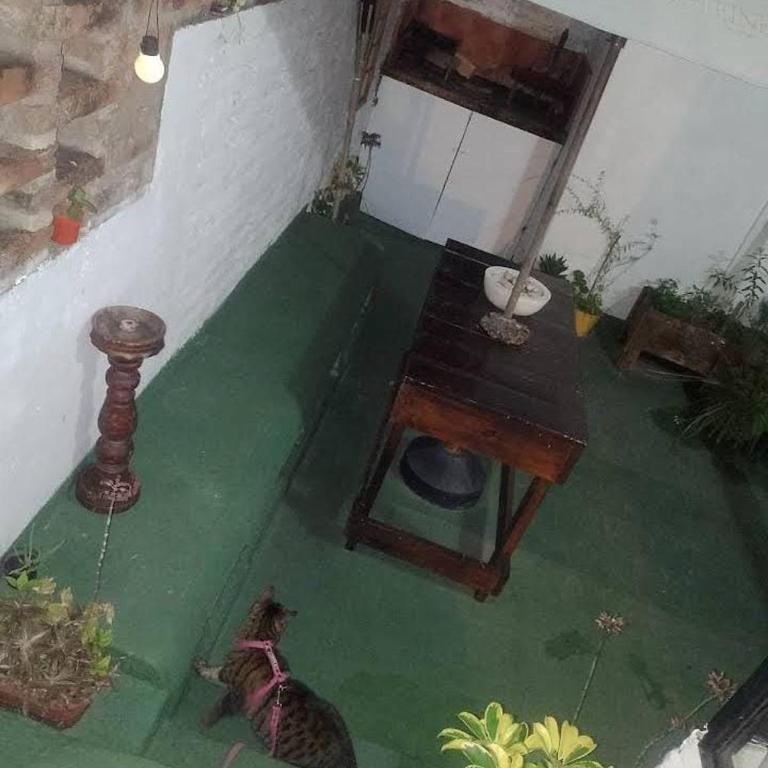 Ginkgo hotel la plata - Apartamento de 3 dormitorios - 5