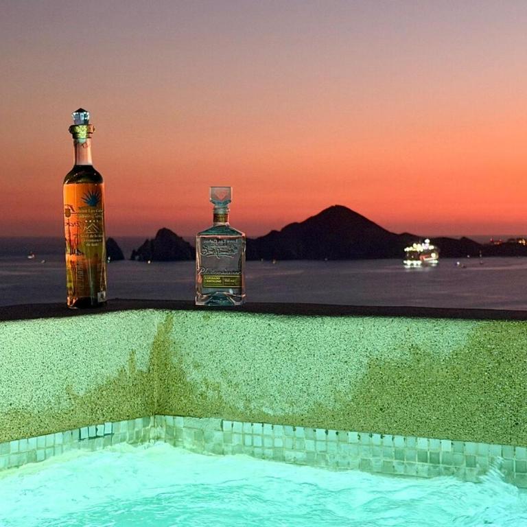 Arch View Luxury Condo with Heated Rooftop Pool and Jacuzzi - Apartamento de 2 dormitorios - 33