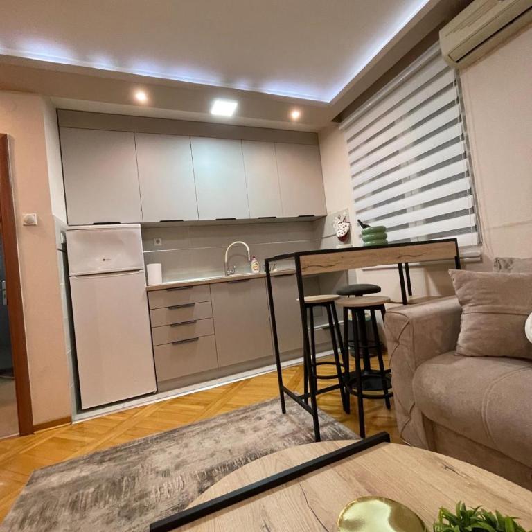 Apartman u centru Niša - One-Bedroom Apartment - 4