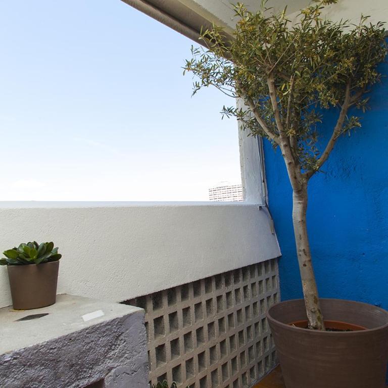 Cité Radieuse - Le Corbusier - Studio-Apartment mit Meerblick - 15