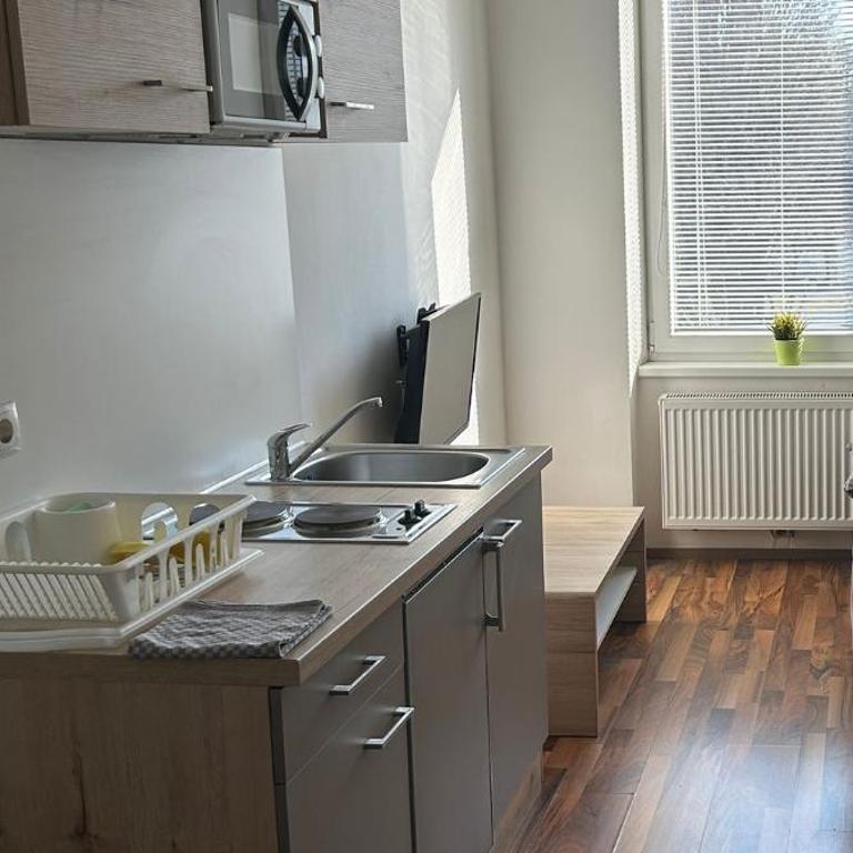 Appartement Moskovic - Apartment mit 1 Schlafzimmer - 1
