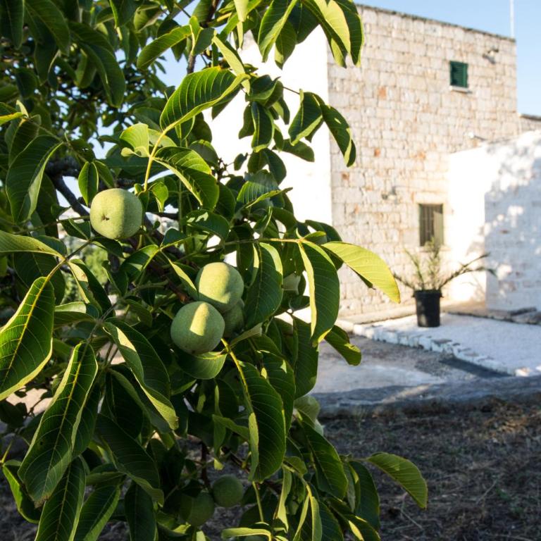Maison MilleOttocento - Camera Doppia con Letti Singoli con Bagno Privato - 16