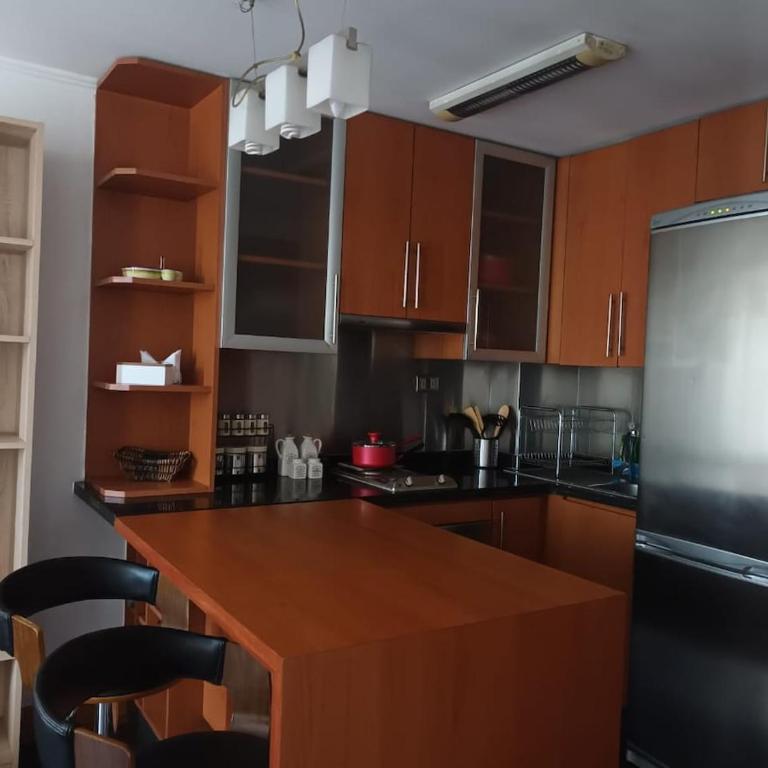 Departamento en Providencia, Pedro de Valdivia - One-Bedroom Apartment - 3