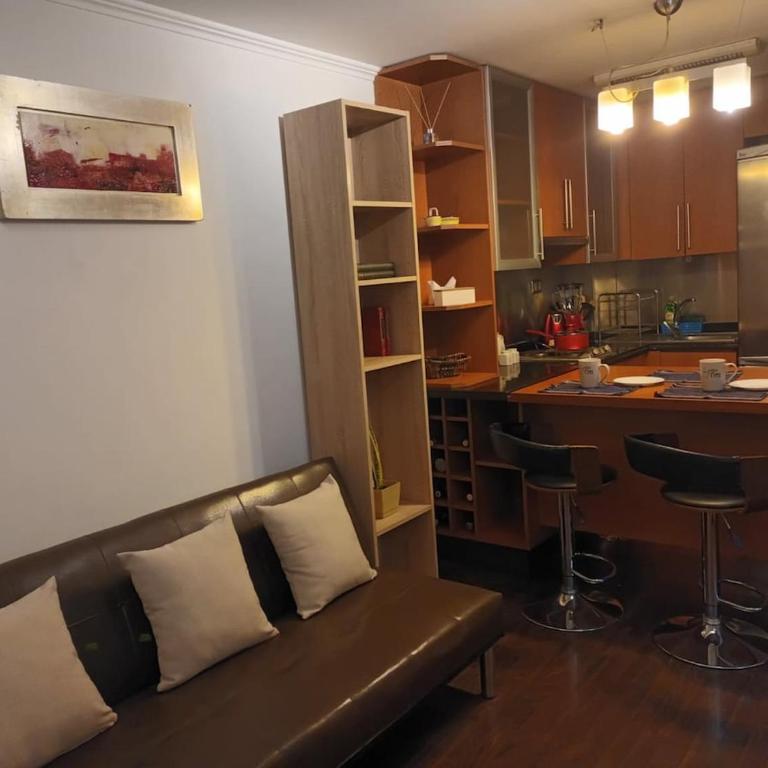 Departamento en Providencia, Pedro de Valdivia - One-Bedroom Apartment - 1