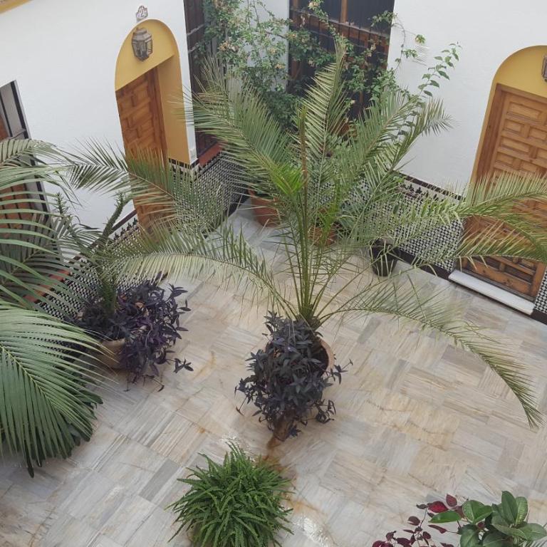 Casa Típica Cordobesa - Apartamento de 2 dormitorios - 29