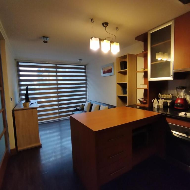 Departamento en Providencia, Pedro de Valdivia - One-Bedroom Apartment - 15