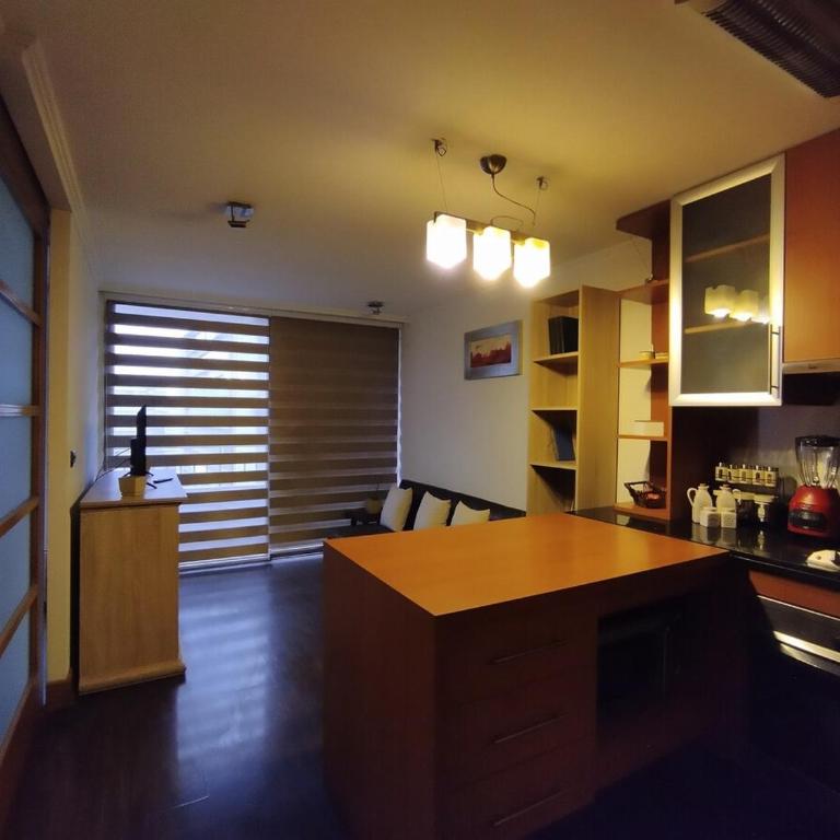 Departamento en Providencia, Pedro de Valdivia - One-Bedroom Apartment - 12
