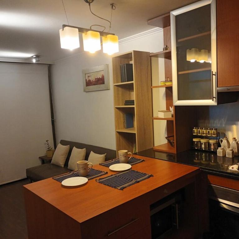 Departamento en Providencia, Pedro de Valdivia - One-Bedroom Apartment - 16