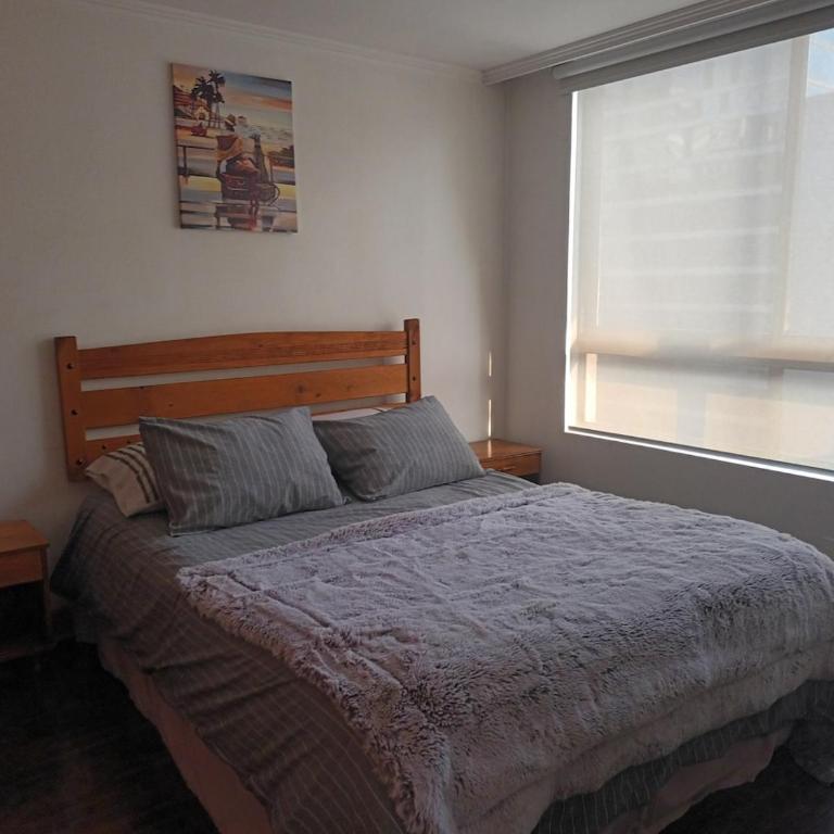Departamento en Providencia, Pedro de Valdivia - One-Bedroom Apartment - 7
