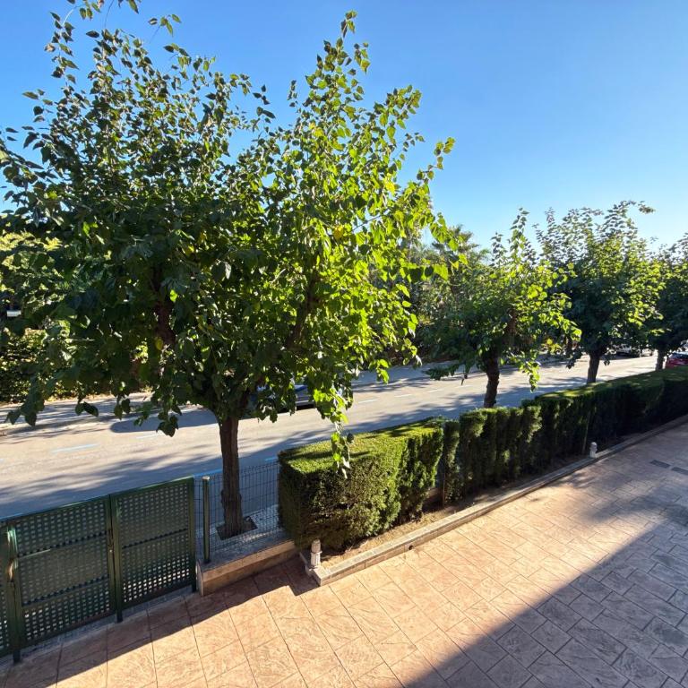 Apt terraza soleada y piscina a 2 min de la playa REFORMADO - Apartamento de 1 dormitorio - 30