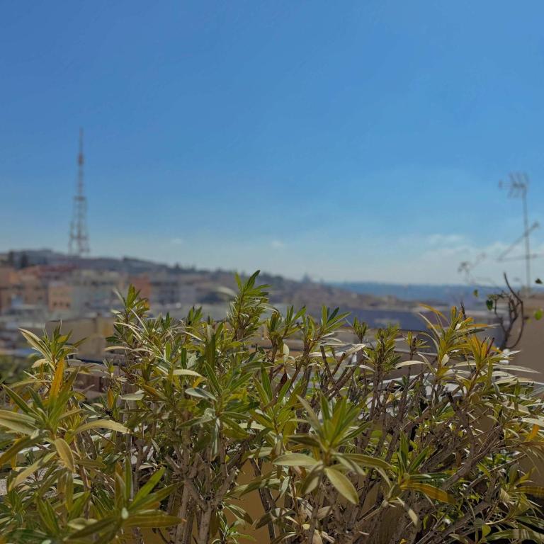 Homeby - Belsito Terrace - Appartamento - 9