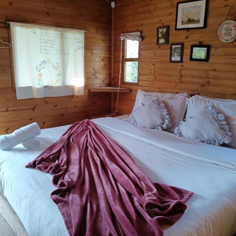 Glamping Entre Nopales - Naturaleza y descanso cerca a Villa de Leyva, mascotas bienvenidas - Chalet - 1