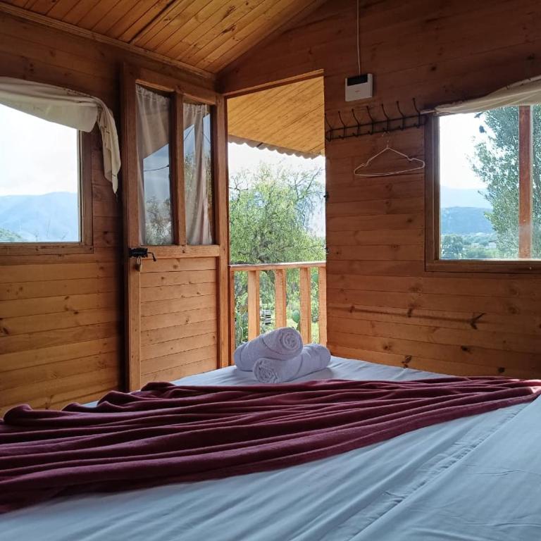 Glamping Entre Nopales - Naturaleza y descanso cerca a Villa de Leyva, mascotas bienvenidas - Chalet - 4
