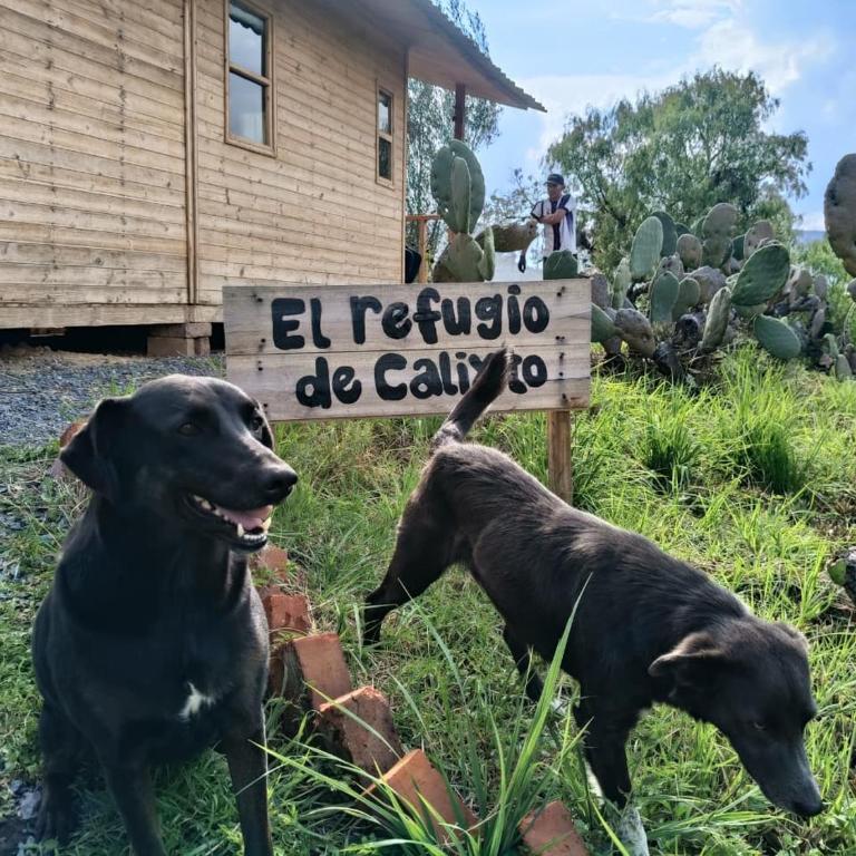 Glamping Entre Nopales - Naturaleza y descanso cerca a Villa de Leyva, mascotas bienvenidas - Chalet - 3