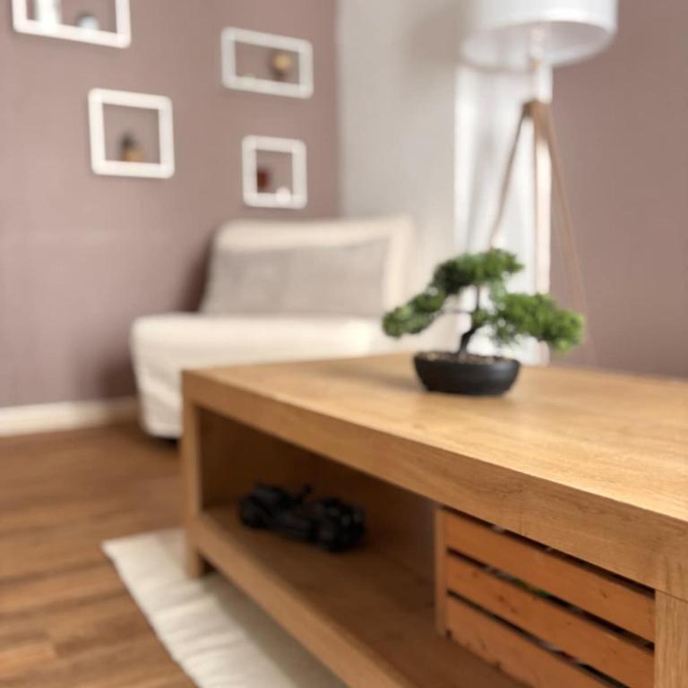 Coup de coeur scandinave - Studio - 3