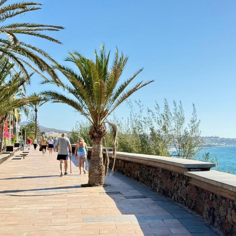 Sol, piscina y playa para tus vacaciones - Apartamento de 2 dormitorios - 17