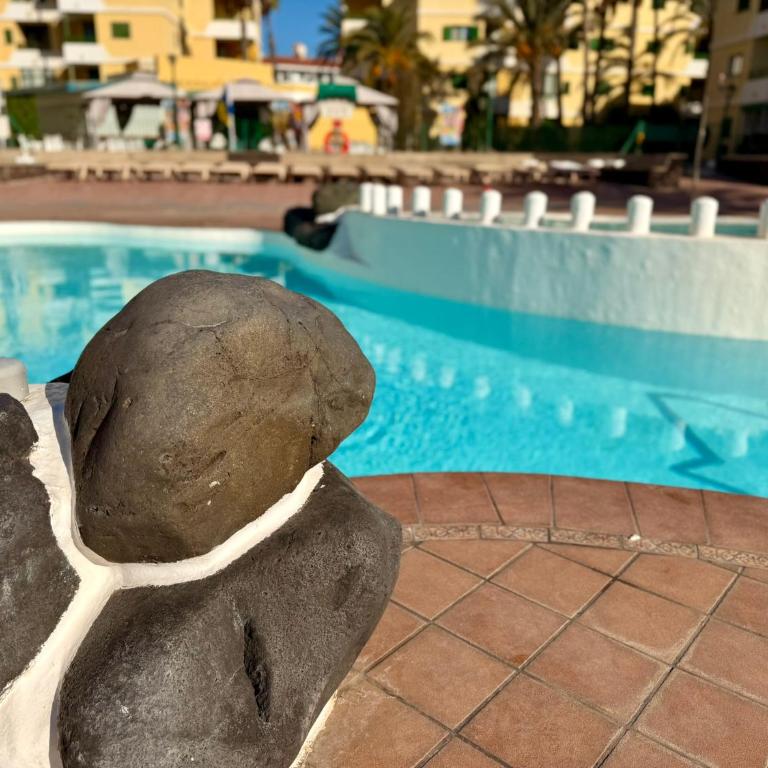 Sol, piscina y playa para tus vacaciones - Apartamento de 2 dormitorios - 39