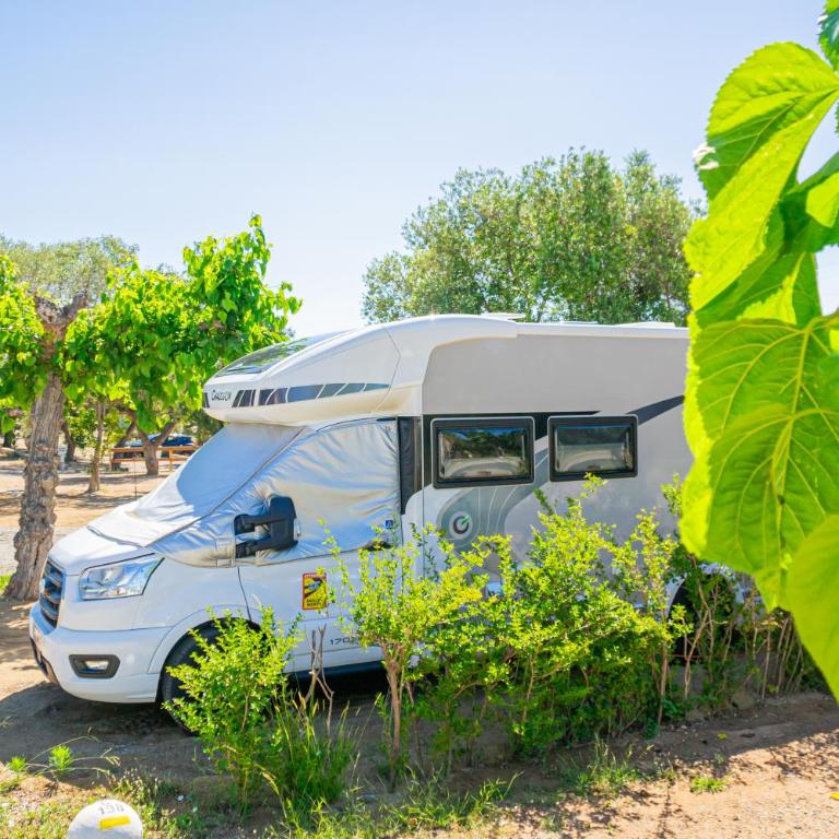 Camping Cambrils Caban - Parcela Premium vacía con electricidad - Para autocaravana - Hay que llevar autocaravana propia - No admite caravanas, tiendas ni furgonetas - 6