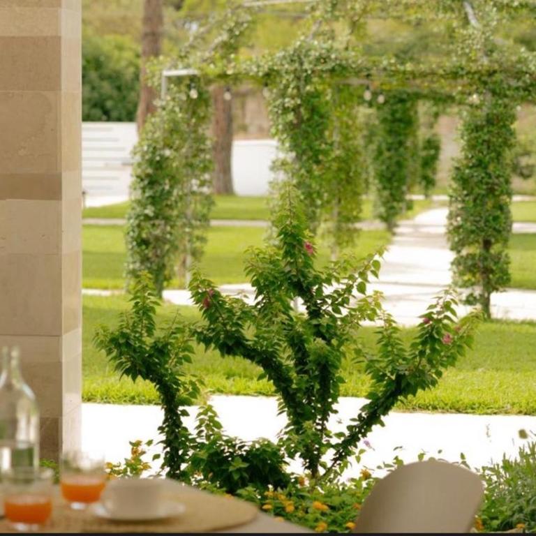 Villa Sanarica - Standard Double Room - 8