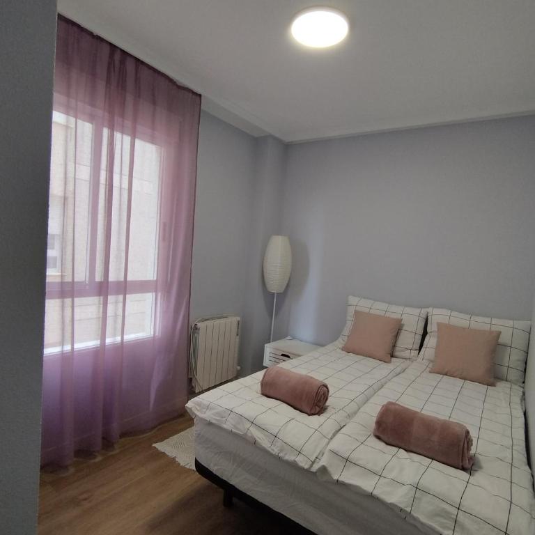 Sunrise Parrot Oasis - Two-Bedroom Apartment - 5