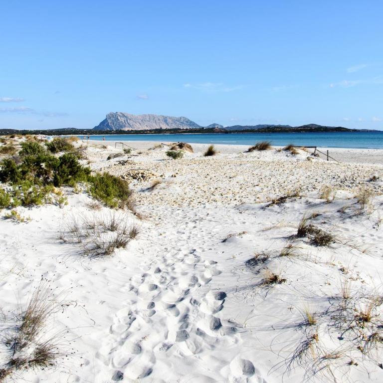 Apartments in San Teodoro 43450 - Appartamento - 13
