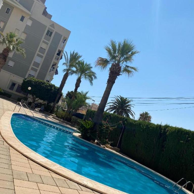Sunrise Parrot Oasis - Two-Bedroom Apartment - 32