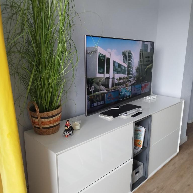 Sunrise Parrot Oasis - Two-Bedroom Apartment - 8