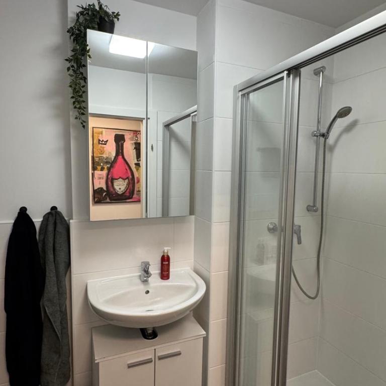 Wohnen am Fluss im City Apartment Linz Donaublick - Garten, Cafe & WLAN, Self-checkin, Parkplatz, für 4 Gäste - Apartment mit 2 Schlafzimmern - 20
