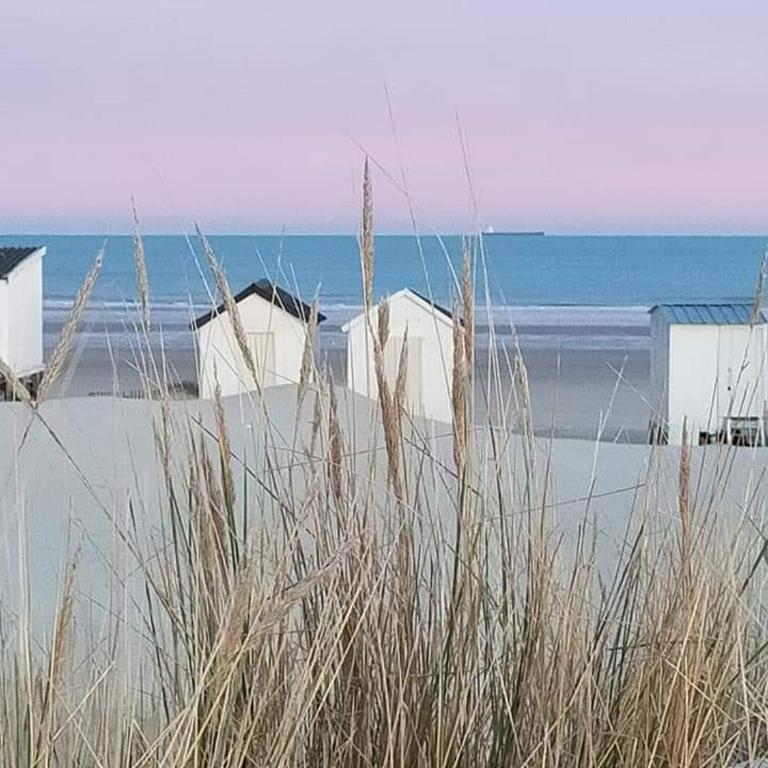 L'Opaline 2 - Vue mer - Appartement - Vue sur Mer - 17
